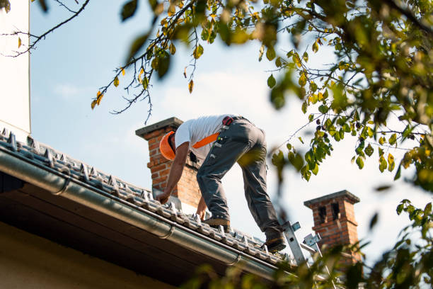Best Affordable Roof Replacement  in Morton, WA